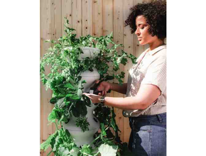 Lettuce Grow Farmstand