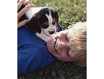 3 Days of Animal Boarding at Ann Arbor Animal Hospital