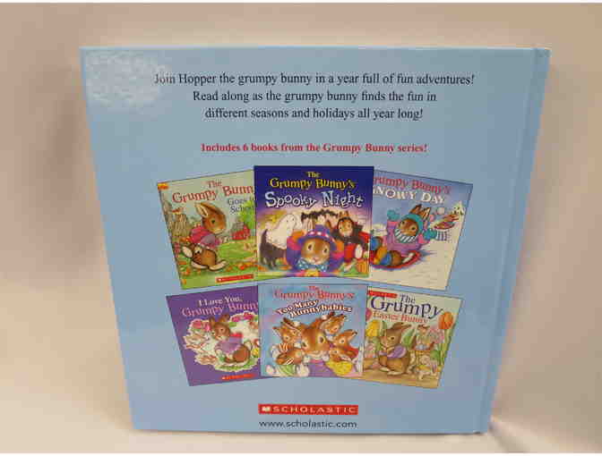 HIPPITY HOP BUNNY BOOKS WITH PLUSH BUNNY