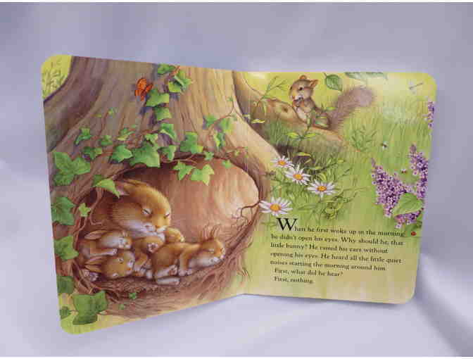 HIPPITY HOP BUNNY BOOKS WITH PLUSH BUNNY