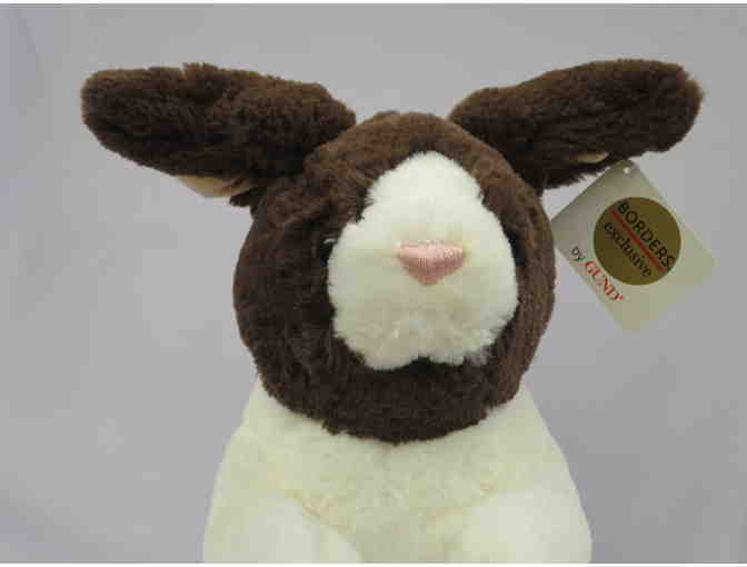 HIPPITY HOP BUNNY BOOKS WITH PLUSH BUNNY