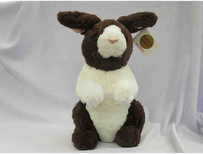 HIPPITY HOP BUNNY BOOKS WITH PLUSH BUNNY