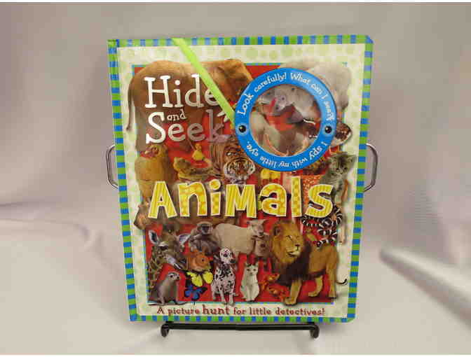 HIDE & SEEK PICTURE HUNT COLLECTION