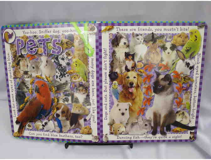 HIDE & SEEK PICTURE HUNT COLLECTION