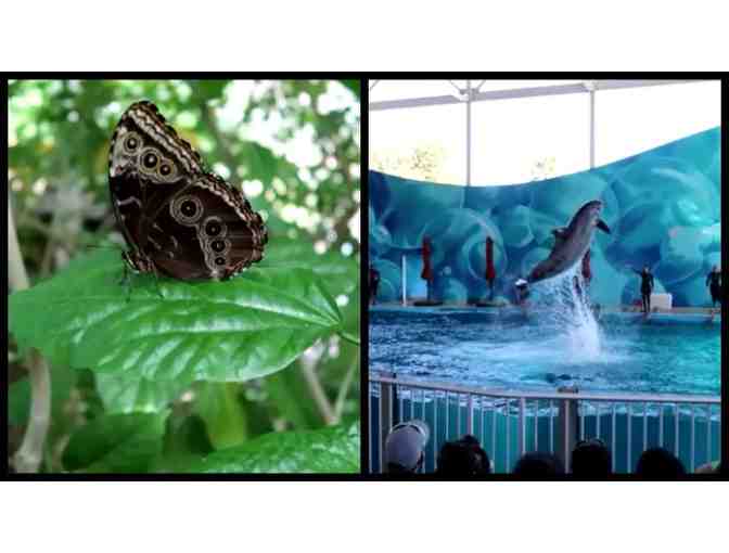 SIX FLAGS DISCOVERY KINGDOM