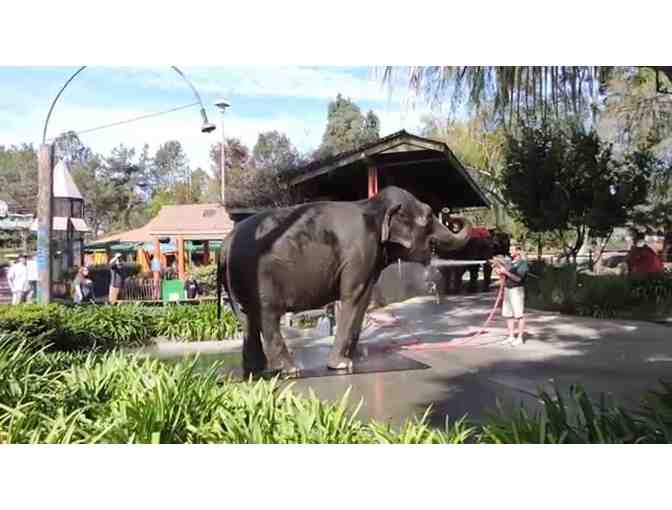 SIX FLAGS DISCOVERY KINGDOM