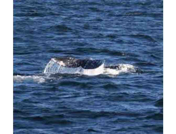 THE ULTIMATE DEL MAR SAN DIEGO STAY