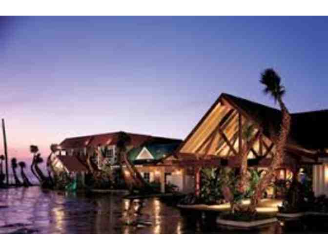 FOOD LOVER'S DELIGHT