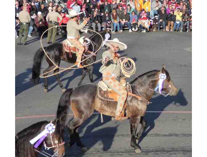 THE ROSE PARADE & MORE
