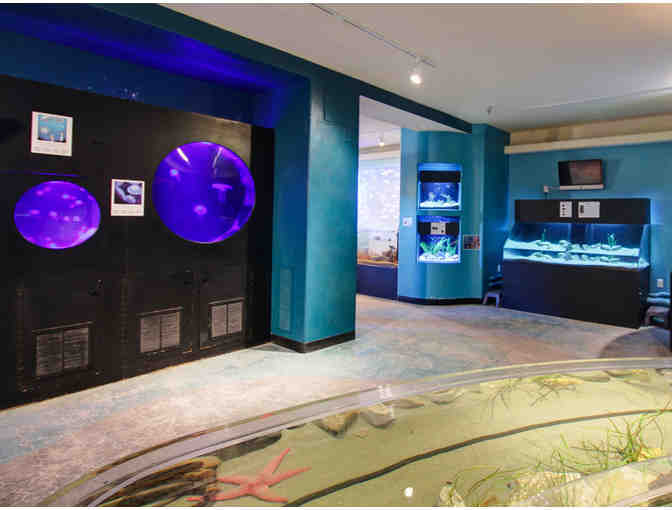 COASTAL CALIFORNIA GETAWAY