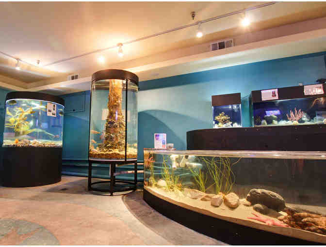 COASTAL CALIFORNIA GETAWAY