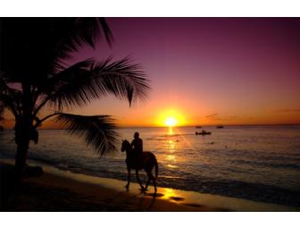 7 Nights at The Club Barbados Resort & Spa - Photo 2