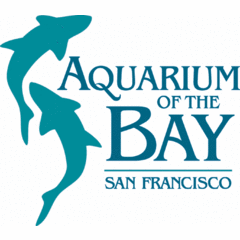 Aquarium of the Bay