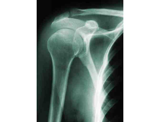 Portland Chiropractic Neurology Gift Certificate