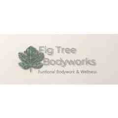Fig Tree Bodyworks