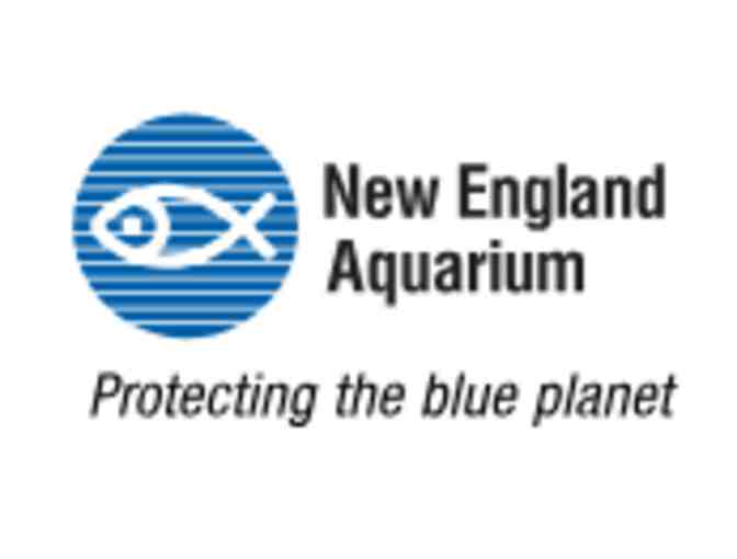Family Museum Package: New England Aquarium & Discovery Museum!!!