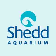 Shedd Aquarium