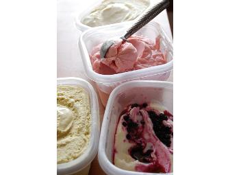 Jeni's Splendid Ice Creams for 200 of Your Closest Friends