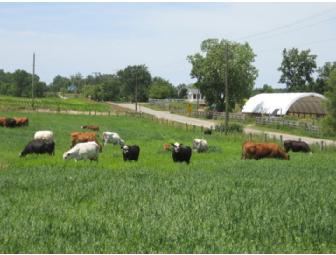 Be A Farmer for a Day with Breakfast at Bluescreek Farm Meats
