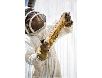 Honeyrun Farm Gourmet Gift Basket