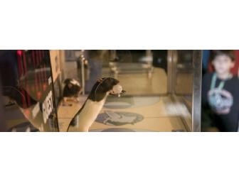 Family Four-Pack to COSI