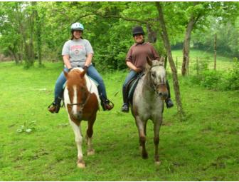 Two Hour Horseback Riding Lesson and Trail Ride