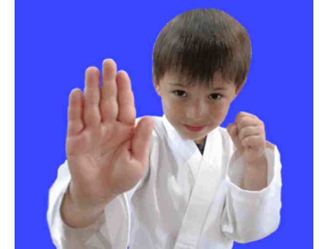 Dawn Barnes Karate Kids - 1 Month of Unlimited Karate Classes