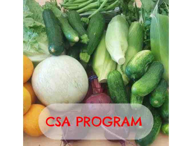 Tanaka Farms - Four (4) Entry Packages