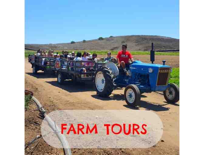 Tanaka Farms - Four (4) Entry Packages