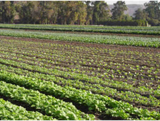 Underwood Family Farms - Family Season Pass