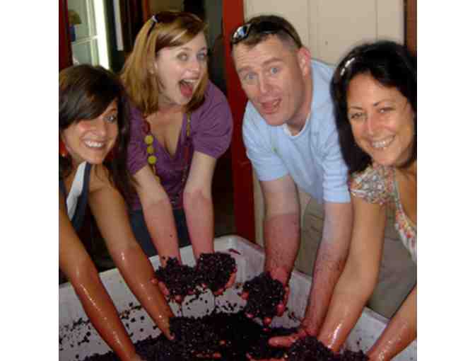 Platypus Tours - Wine tour for Two (2) in Napa or Sonoma