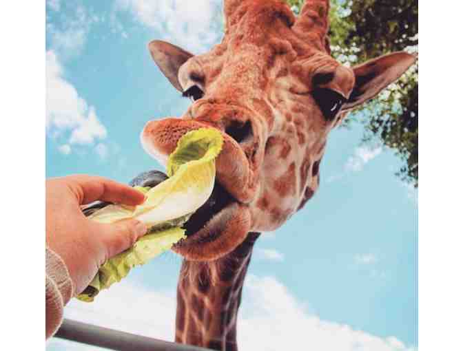 Malibu Wine Safaris - Giraffe Safari for Two ($190 Value)