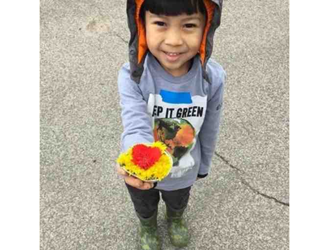 Tinkergarten - One (1) Season of Tinkergarten Classes (Up to $250 Value)