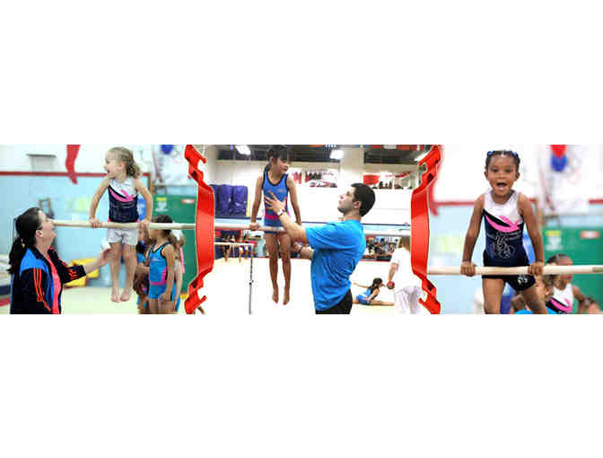 Los Angeles School of Gymnastics - Four 1-hour Classes