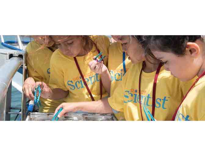 Project Scientist Summer Academy for Girls at LMU - One (1) Week Enrollment