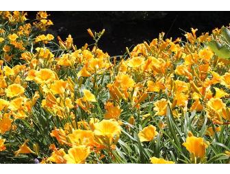 Quad City Botanical Center