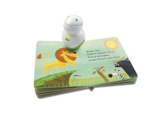 Leap Frog Learning DVD Set & Tag Junior Reader