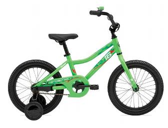 GIANT 16' Animator Boy's Bike or Girl's PUDD'N bike