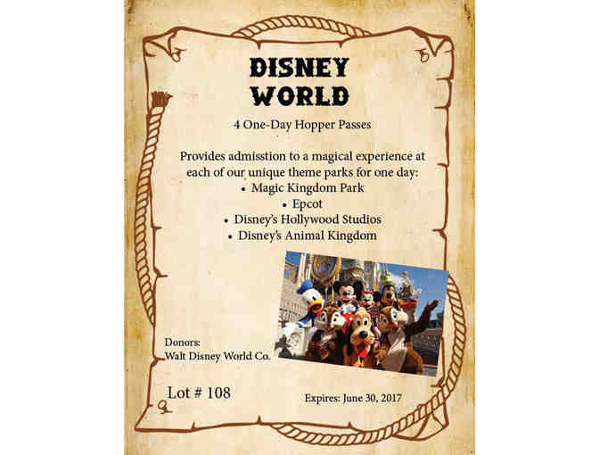 Disney World Hopper Passes