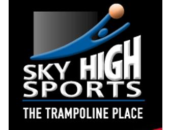Sky High Sports Santa Clara - Family Pass for up to Four