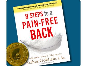 8 Steps to a Pain-Free Back, by Esther Gokhale & Stretchsit Cushion