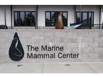 The Marine Mammal Center - Docent Tour for Four