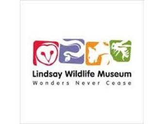 Four Admission Passes - Lindsay Wildlife Museum