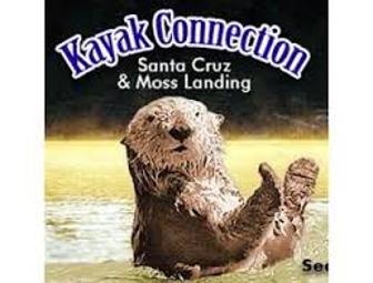 Half day double kayak rental from Kayak Connection - Santa Cruz