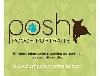 Posh Pooch Portraits - Pet Photography Session and 8x10