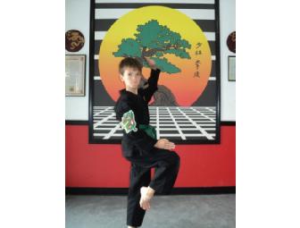 VIP Pass to 2 free lessons of Martial Arts Training from United Studios of Self Defense