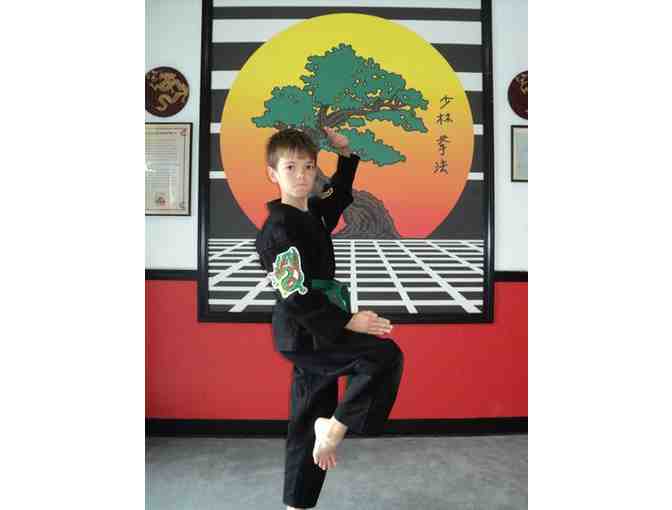 One Month VIP Pass of Martial Arts Training from United Studios of Self Defense