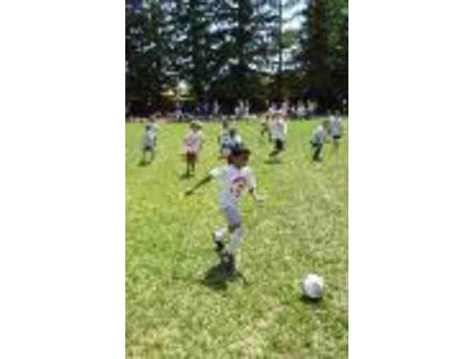 One Week of Griffin Soccer Camp for Ages 5 to 12 in Sunnyvale
