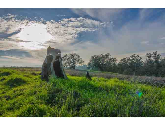 Wildlife Photography Class with Photographer at Arastadero Preserve - Saturday, May 16,