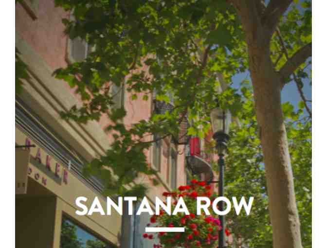 Santana Row VIP Shopping Day For Eight Women- San Jose